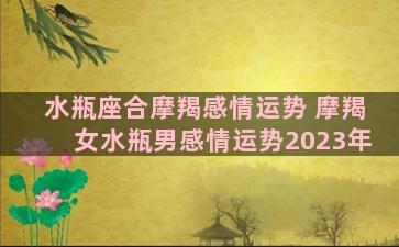 水瓶座合摩羯感情运势 摩羯女水瓶男感情运势2023年